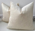 Load image into Gallery viewer, Luxury Polyester / Duck Feather Cushion Inserts