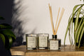 Load image into Gallery viewer, Cedarwood Diffuser and Candle Gift Set
