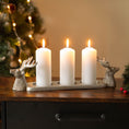Load image into Gallery viewer, Silver Stag 3 Pillar Candle Holder
