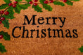 Load image into Gallery viewer, Xmas Non-Slip Coir Doormat
