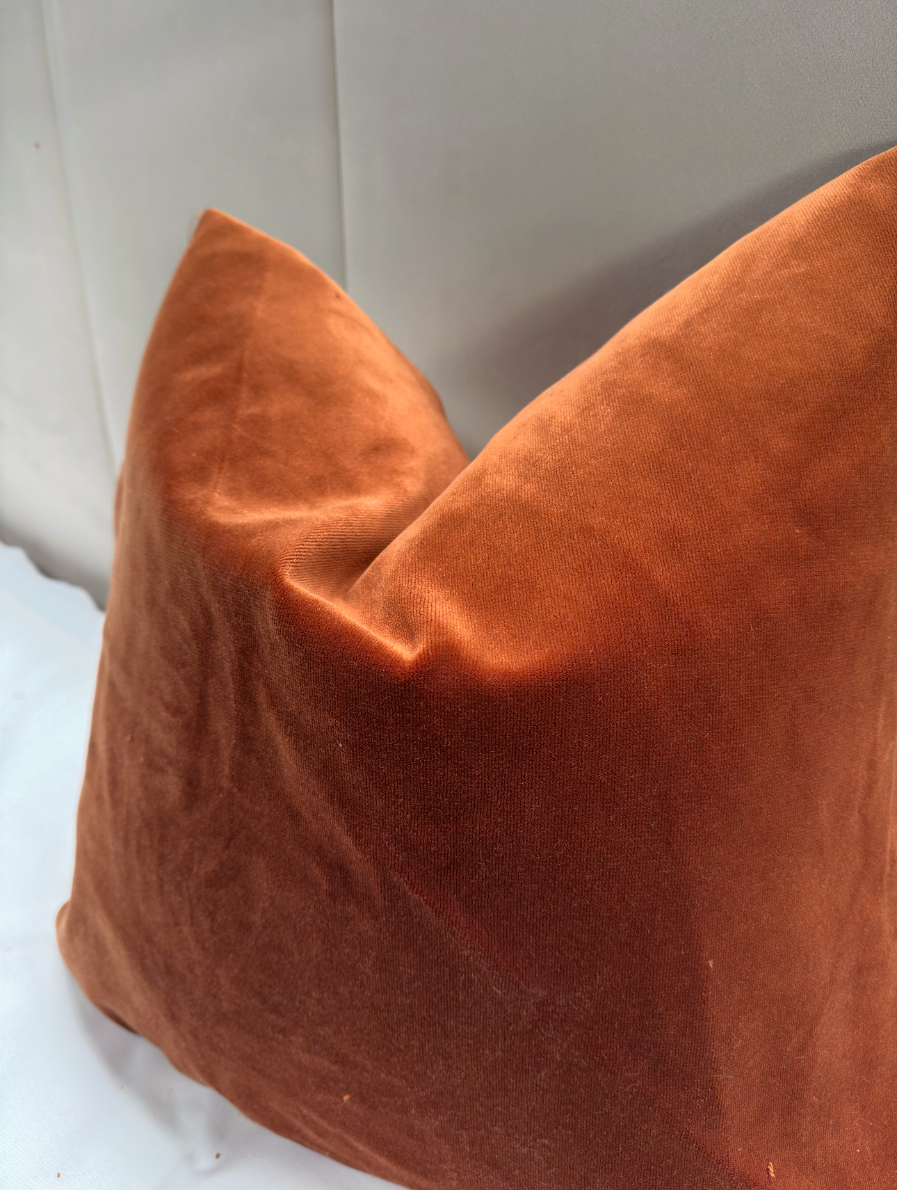 The Burnt Orange Luxury Velvet - 20” x 20”
