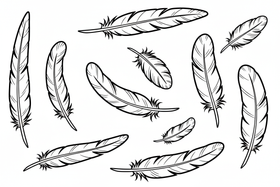 thick outline black and white of feathers 
